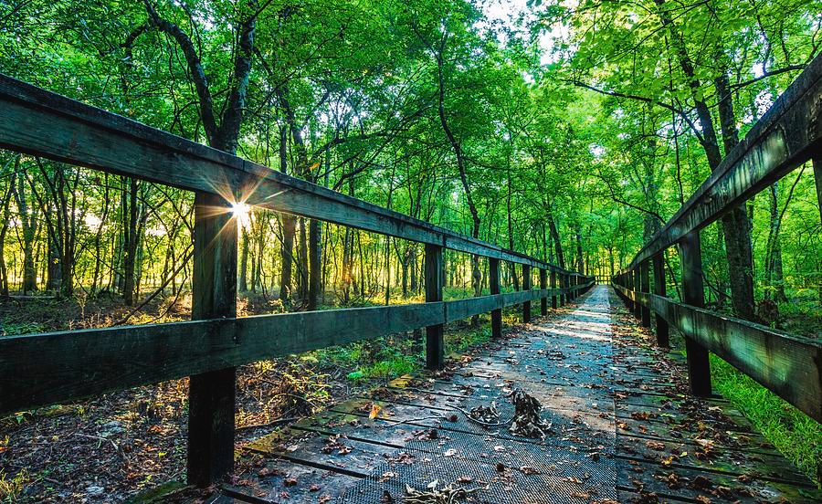 peaceful-scene-jordan-hill