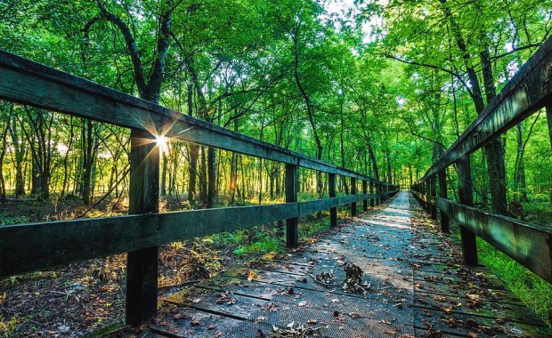 peaceful-scene-jordan-hill